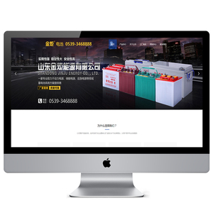 山东金炬能源有限公司